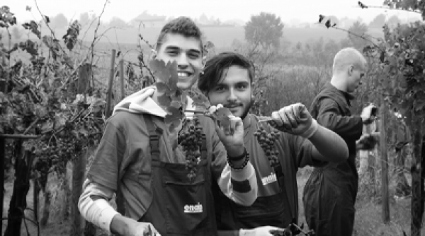 IMG_Progetto_Cura_del_verde