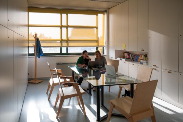 Immagine rappresentativa per adulti