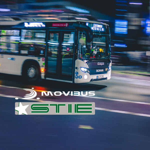 stie movibus