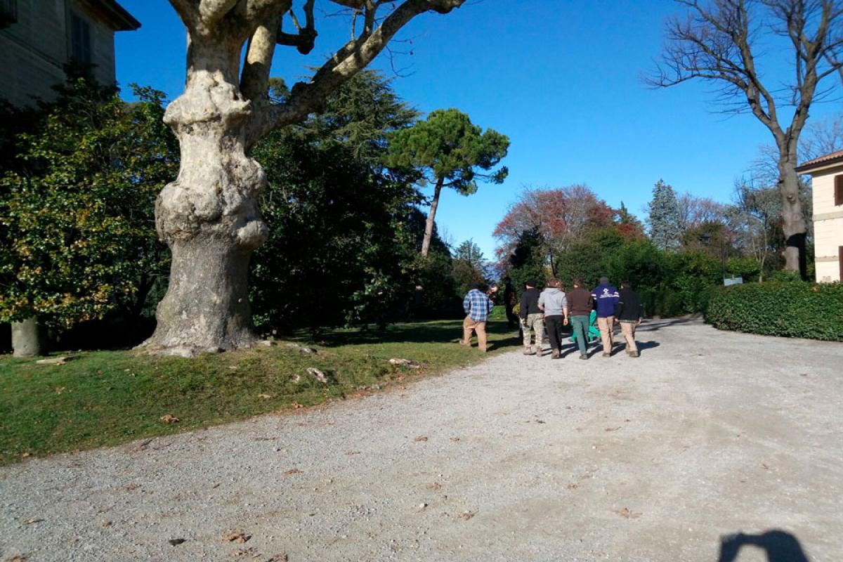 camminamento in terra battuta in parco con prato e alberi, gruppo di persone in lontananza, albero da grande tronco