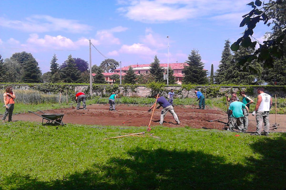 studenti che lavorano campo con zappe e cariole, prato attorno, alberi e muratura sullo sfondo
